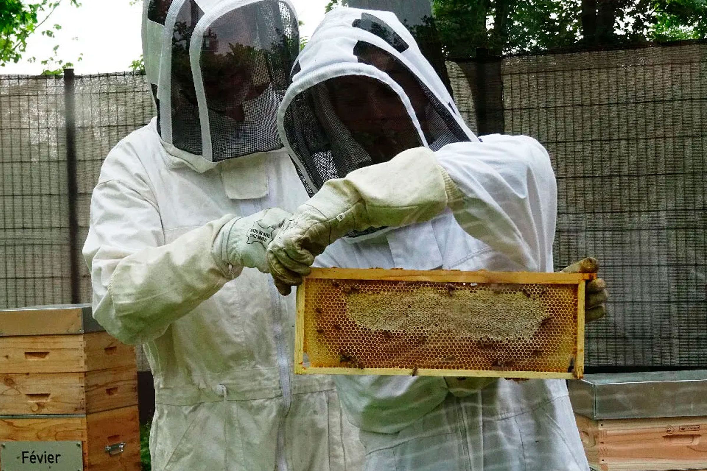 Techniques d'apiculture éthique et écologique repas-midi (59159 ...