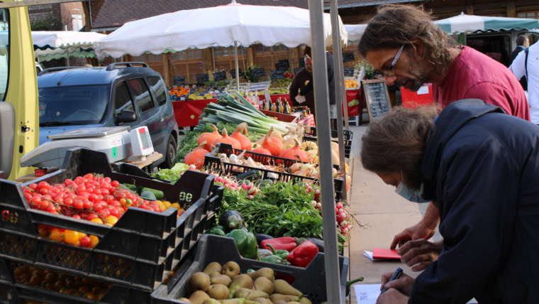 Techniques de Maraîcher artisanal BIO repas-midi- Création d’activité (Le Havre 76600)