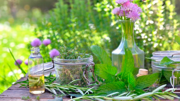 CS Fabrication ancestrale des cosmétiques et huiles avec des plantes naturels (Lyon 69002)