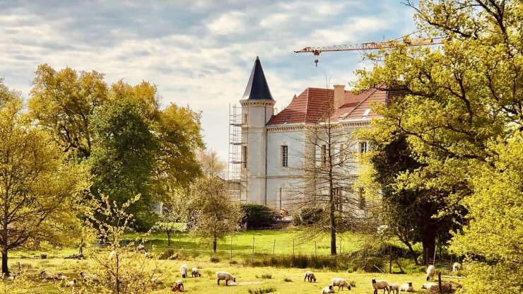 Planter la Vigne en bio-dynamique Immersion au Château (40310 Nouvelle-Aquitaine)